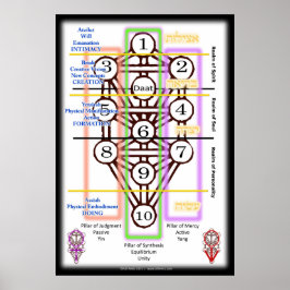 Livets träd-diagram | Alla storlekar Poster
