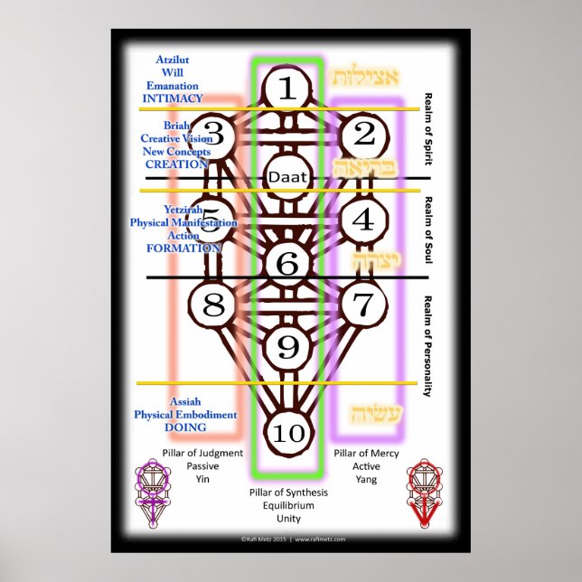 Livets träd-diagram | Alla storlekar Poster (Framsidan)