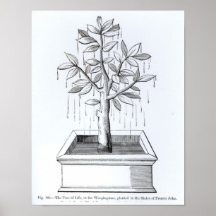 Livets träd, eller Vinghavet Träd Poster