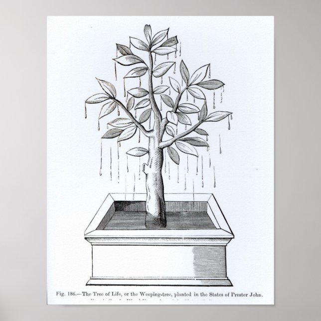 Livets träd, eller Vinghavet Träd Poster (Framsidan)