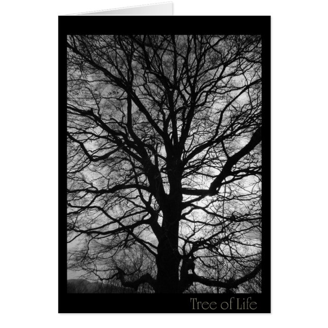 Livets träd - inte bara för träd kramare hälsningskort (Framsidan)