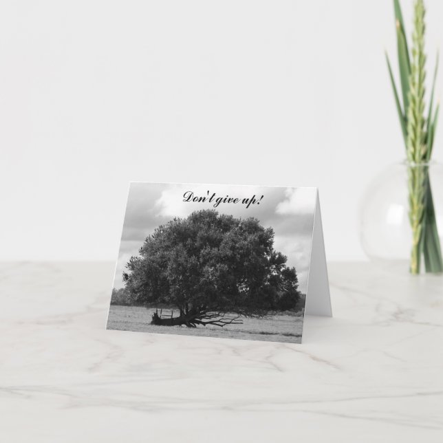 Livets träd kort (Framsida)