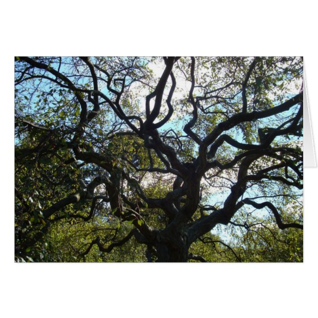 Livets träd-kort hälsningskort (Framsidan Horizontal)