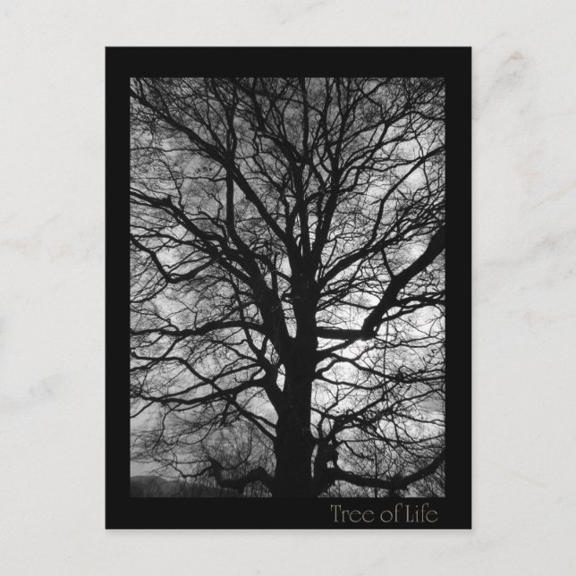 Livets träd - Lebensbaum - Baum des Lebens Vykort (Framsida)
