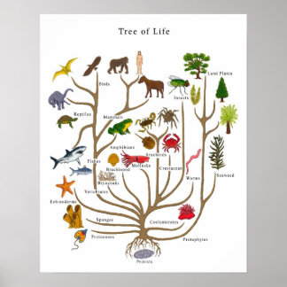 Livets träd poster