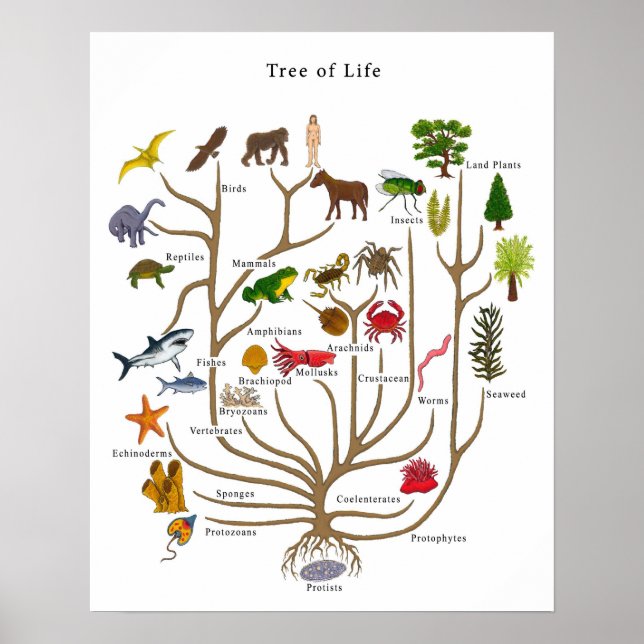 Livets träd poster (Framsidan)