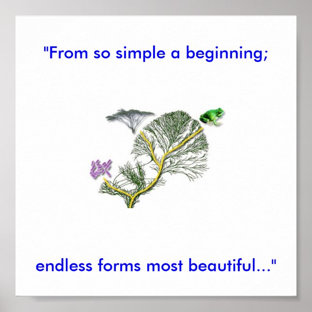 Livets träd poster (Framsidan)