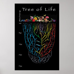 Livets träd poster