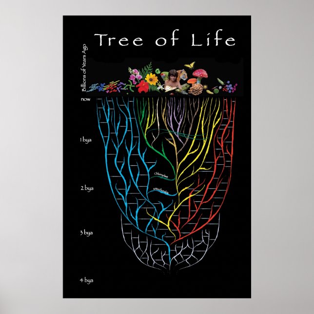 Livets träd poster (Framsidan)