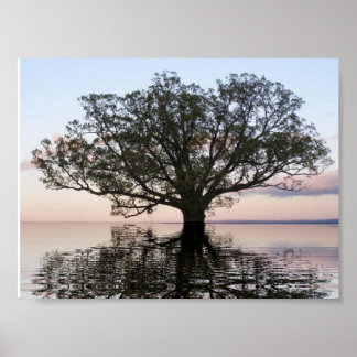 Livets träd (Reflexioner) Poster