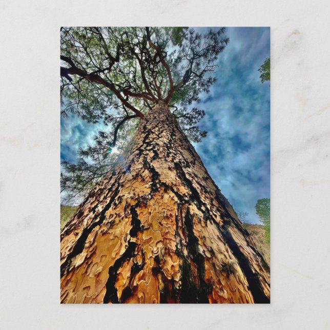 Livets träd vykort (Framsida)