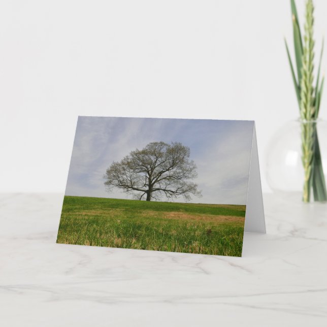 Livets trädkort kort (Framsida)