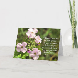 Livets Väg - skriptkort Tack Kort