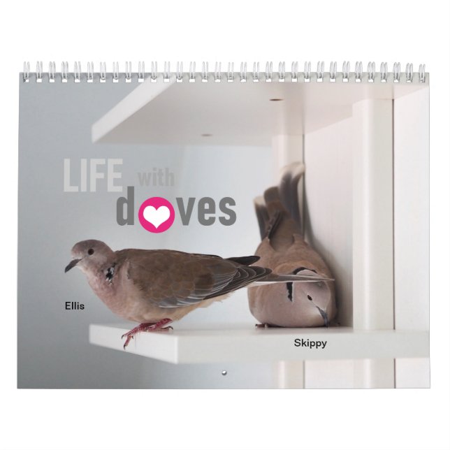 Livförsäkring med duvor:Kalender 2020 Kalender (Omslag)