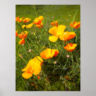 Livförsäkring Poster