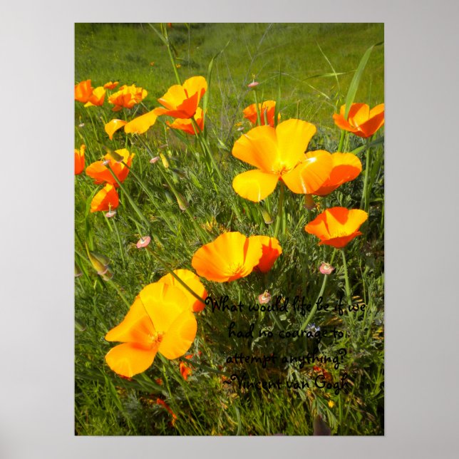 Livförsäkring Poster (Framsidan)