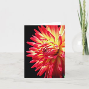 Livfull röd Dahlia-blomma fotografering Anteckningskort