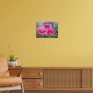 Livfulla rosa medelhavsvallmor poster