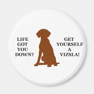 Livhar som du besegrar? Få sig Yourself en Vizsla Magnet