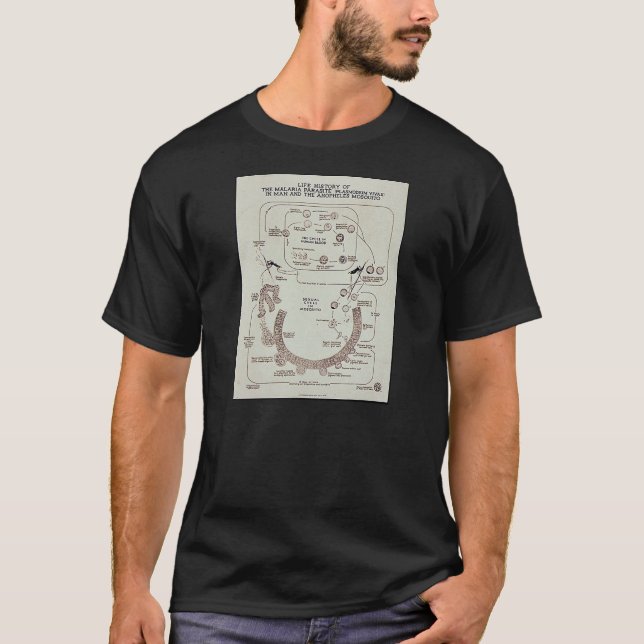 Livhistoria av Malariaparasit Plasmodiume V Tee Shirt (Framsida)