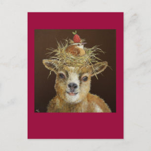 Livin 'High on the Goat vykort