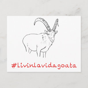 Livin La Vida Goata Funny Goat Art-slogan Design Vykort