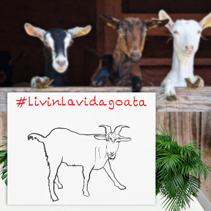 Livin La Vida Goata Funny Quirky Cute Goat Tecknin Vykort