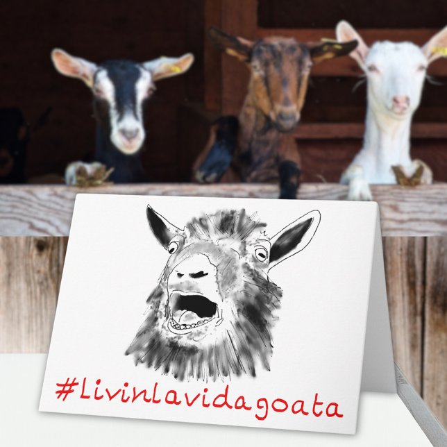Livin La Vida Goata Funny Screaming Goat Animal Kort (Funny screaming goat quote livin la Vida goata fun greetings card)