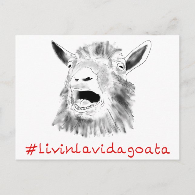 Livin La Vida Goata Funny Screaming Goat Teckning Vykort (Framsida)