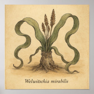 Living Fossil Beauty - Desert Botanical Poster Art