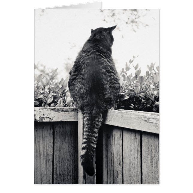 Living Gargoyle OBS Kort (Framsidan)