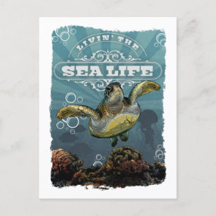 Livin'Sea Life Turtle-vykort Helg Vykort