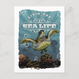 Livin'Sea Life Turtle-vykort Helg Vykort