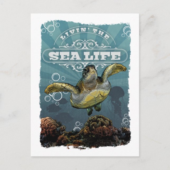 Livin'Sea Life Turtle-vykort Vykort (Framsida)