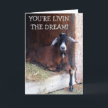 Livin'the Dream Funny Goat Birthday Kort<br><div class="desc">Roligt och fånig födelsedagskort med Eli,  leva i drömmen! Anpassa med ditt eget speciella budskap och njut! Foton ©Christine Greenspan</div>