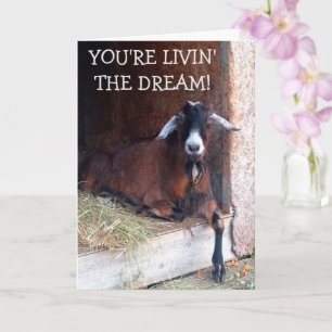 Livin'the Dream Funny Goat Birthday Kort