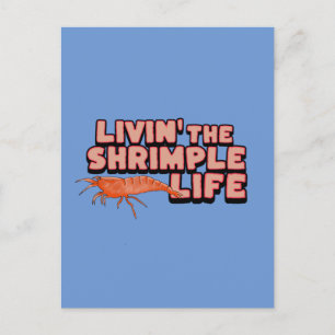 Livin'the Shrimple Life Shrimp Art Vykort