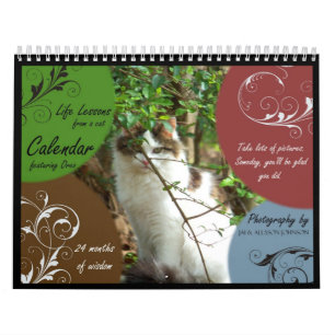 Livkurser från en kattkalender kalender