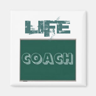 Livlagledaremagneter Magnet