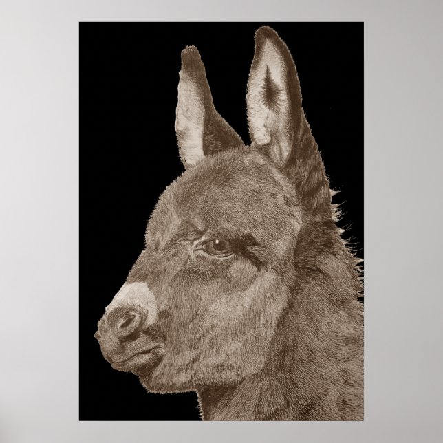 Livlig blyertspenna teckning av söt donkey poster (Framsidan)