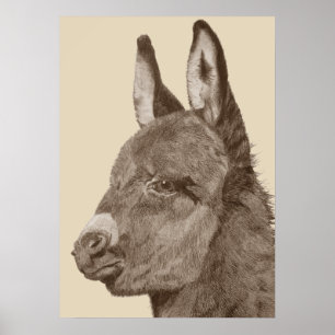Livlig blyertspenna teckning av söt donkey poster