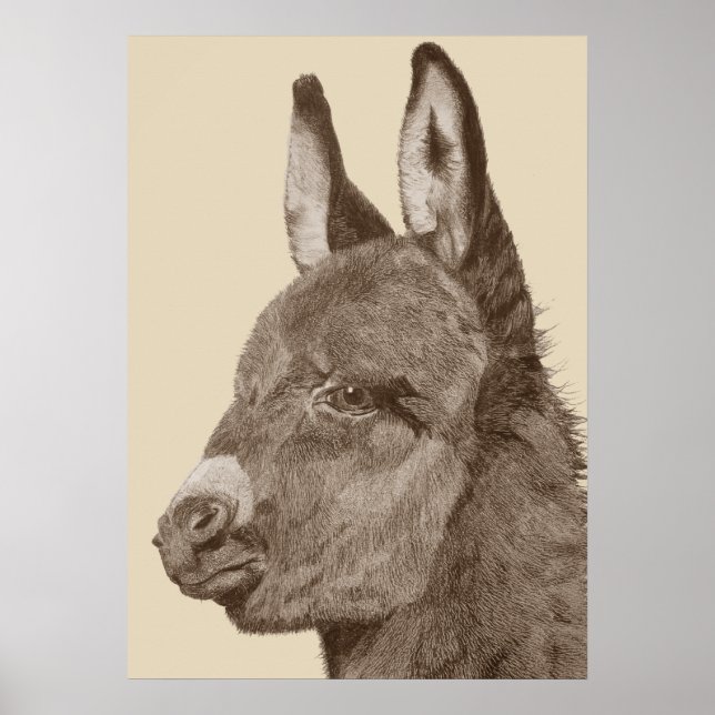 Livlig blyertspenna teckning av söt donkey poster (Framsidan)
