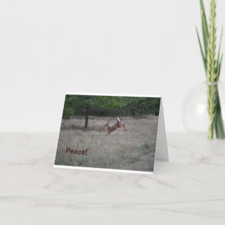 Livlig hjort Notecard Kort
