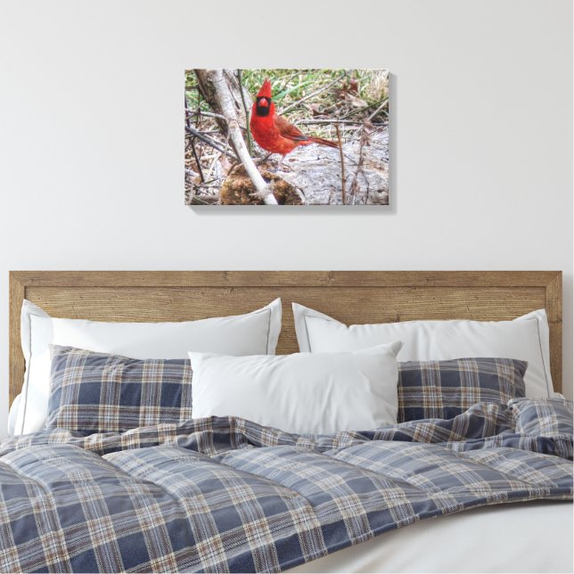 Livlig Kardinal Canvastryck (Insitu (sovrum))