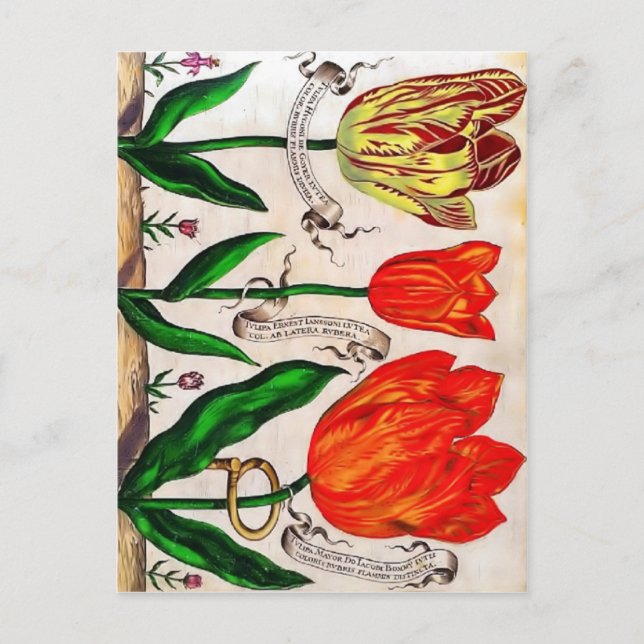 Livres De Fleurs vykort (Framsida)