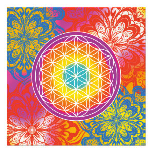 Livsblommans mandala zen fototryck