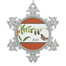 Livscykel för Julgrumlig fjäder