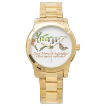 Livscykel för Monarch-butterfly