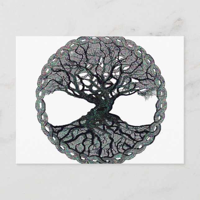 Livscykeln i livets träd vykort (Framsida)