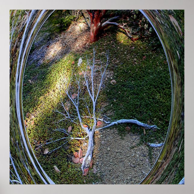 Livscykeln... Poster (Framsidan)